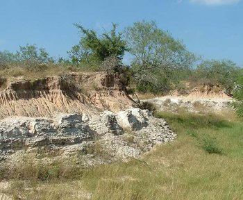 Sand Sheet over Goliad Formation