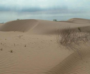 Dune Field