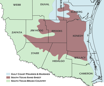 Detail of South Texas Sand Sheet Natural Region